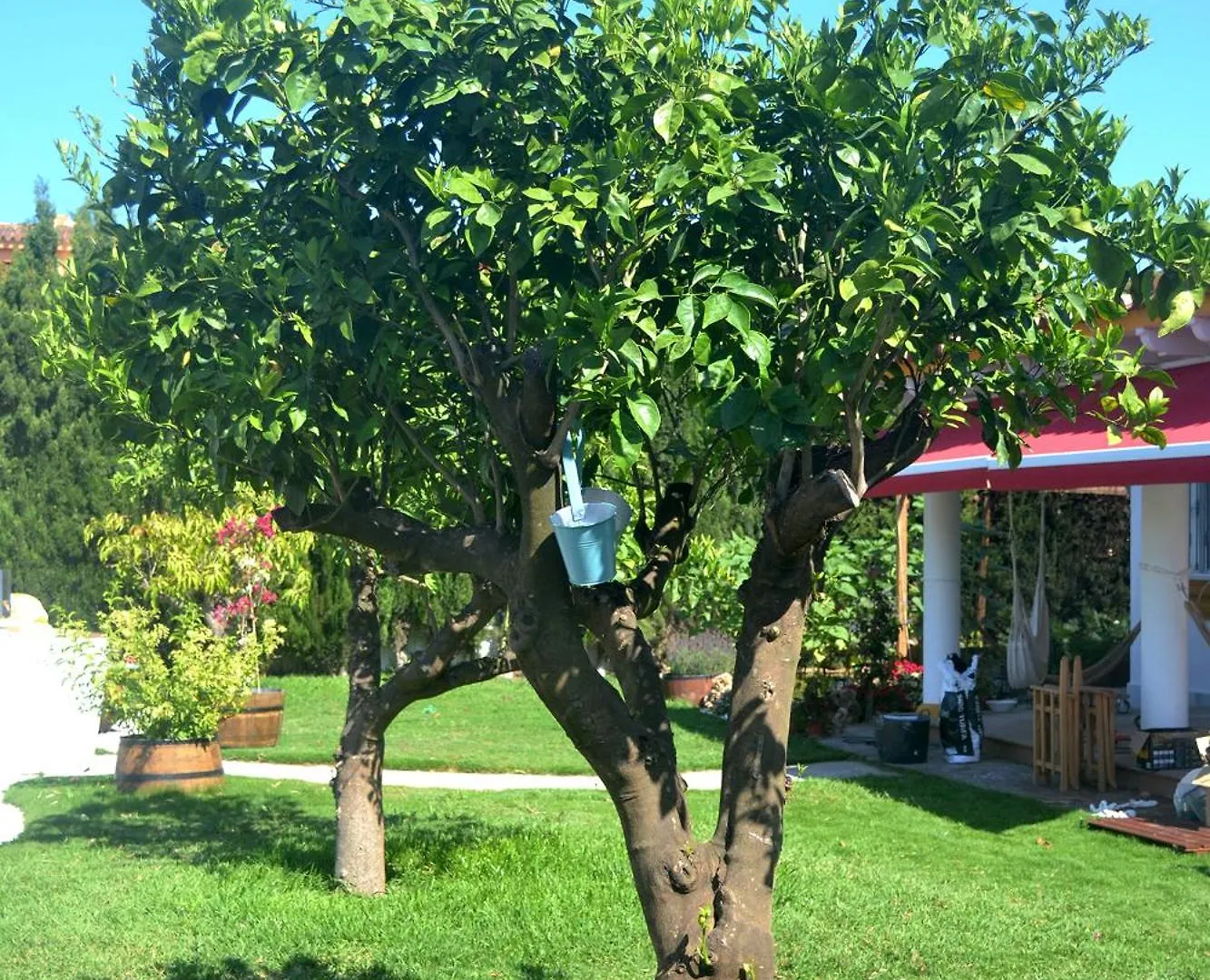 Chalets En Sancti Petri Novo Sancti Petri Сasa de vacaciones