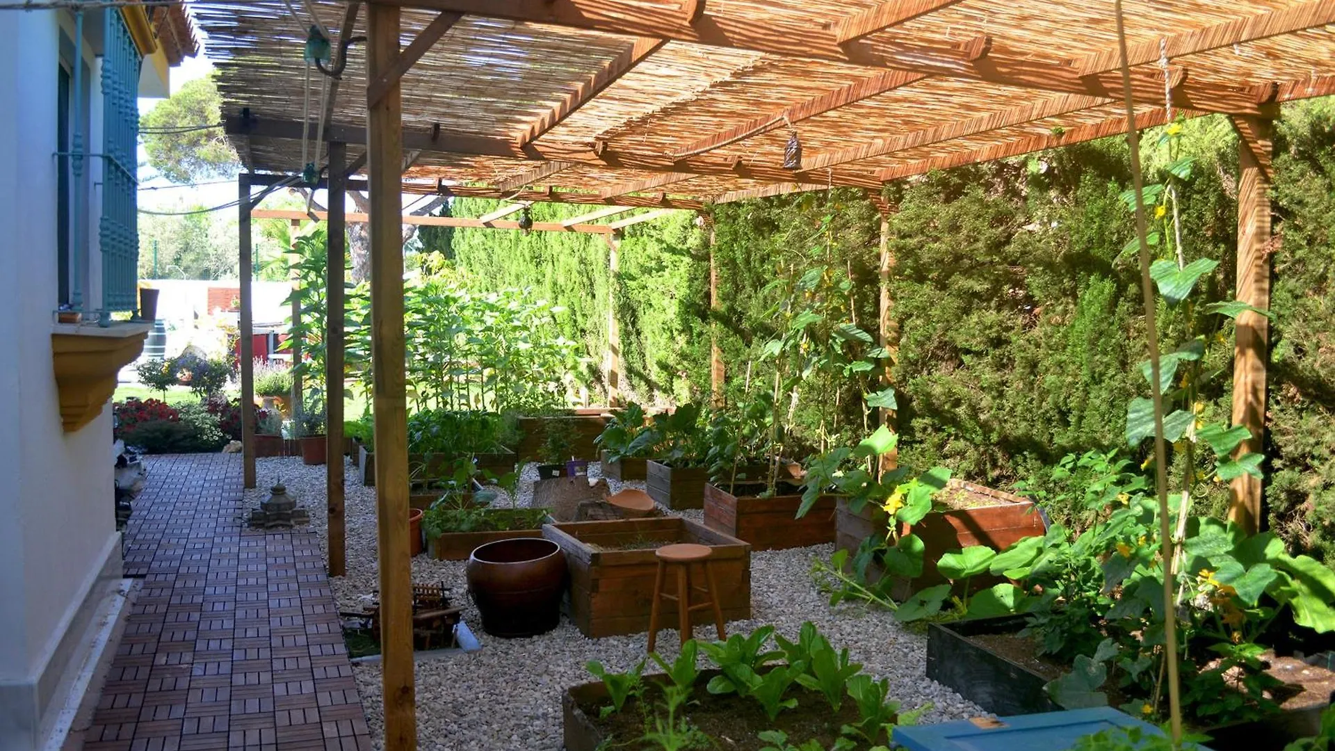 Chalets En Sancti Petri Novo Sancti Petri Сasa de vacaciones