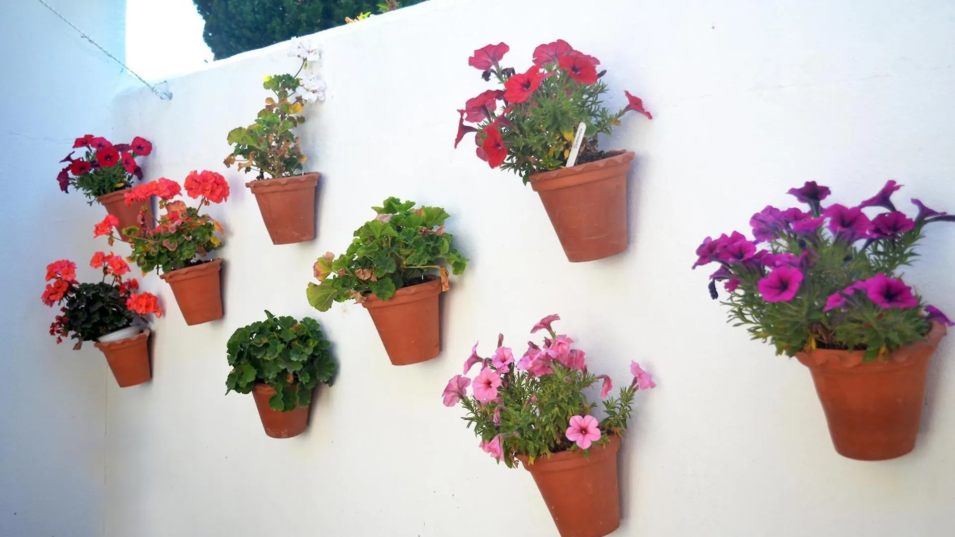 Chalets En Sancti Petri Novo Sancti Petri Holiday home